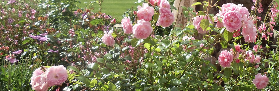 Garden maintenance slide
