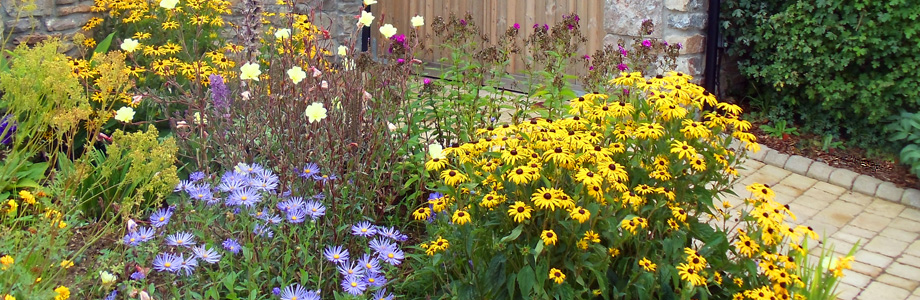 Planting slide